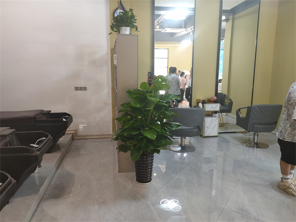 20210813_1053.jpg c7ee9edd5feb72a7b5cf7be04d530cd.jpg